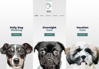 digital-download-store-theme-product-featured-image-8-380x265